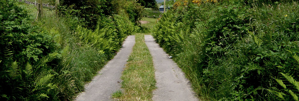 Walking Holidays Claremorris, Westport - Scenic countryside walks in the West of Ireland